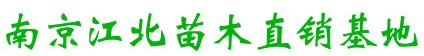 Ͼľֱ